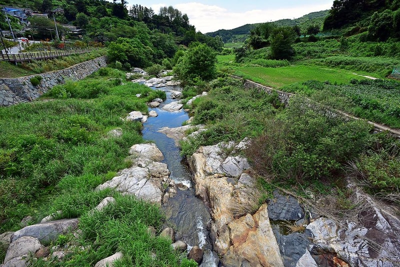 가야권역 소리마실 영농조합법인 시설 사진 9
