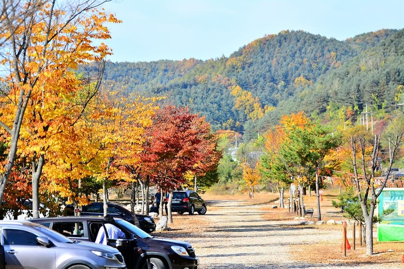 은빛물결캠핑장 시설 사진 14
