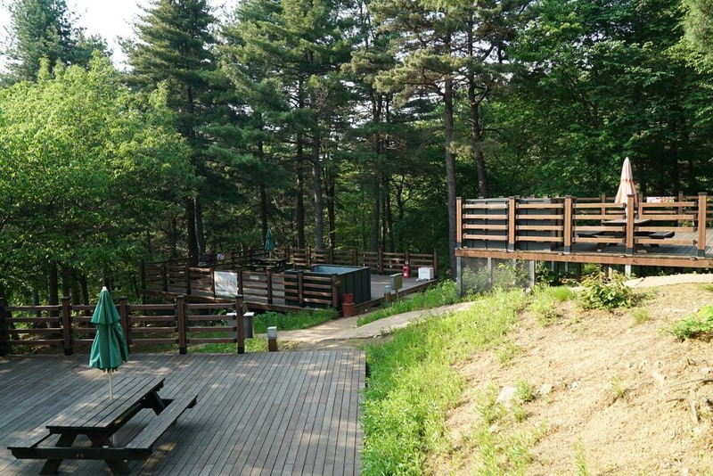 소요별앤숲테마파크 시설 사진 34