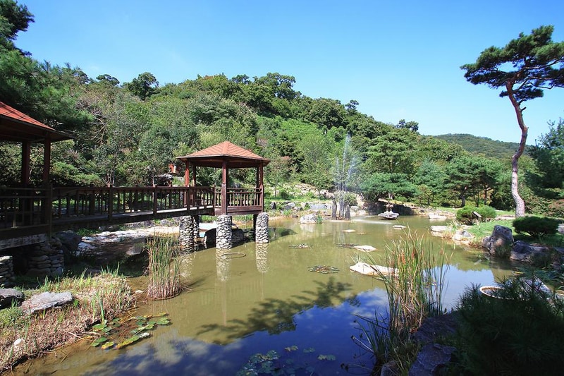 이안숲속오토캠핑장 시설 사진 13