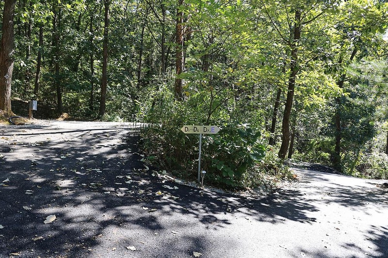 춘천 더숲 캠핑장 시설 사진 6