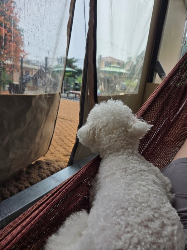 올라봄 캠크닉 대표 사진