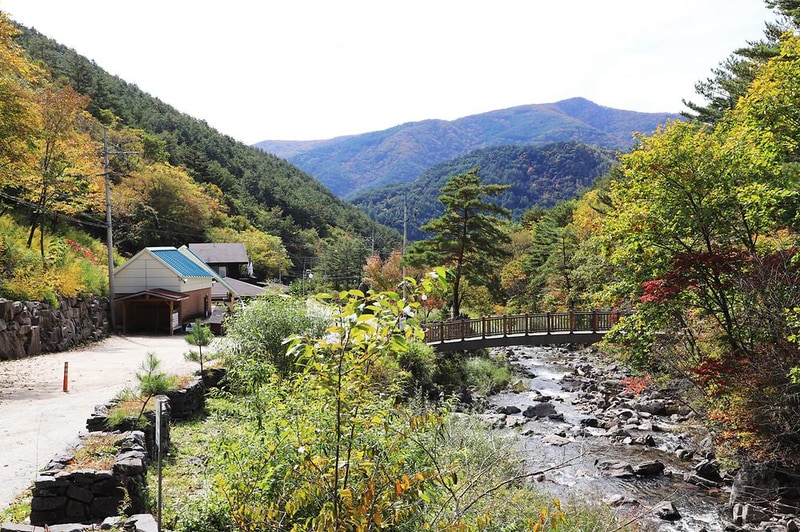 국립두타산자연휴양림 시설 사진 16