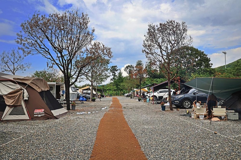 파주 눌노리 체험 캠핑장 시설 사진 8