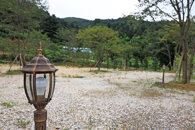 더 포레스트 시설 사진 5