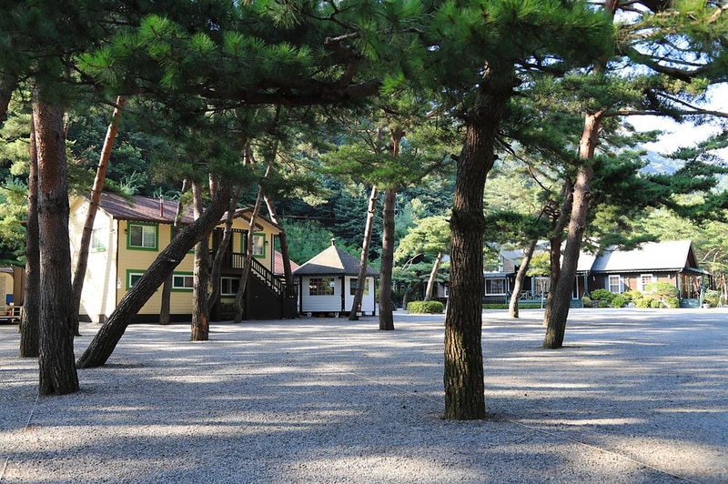 솔밭 캠프장 시설 사진 14