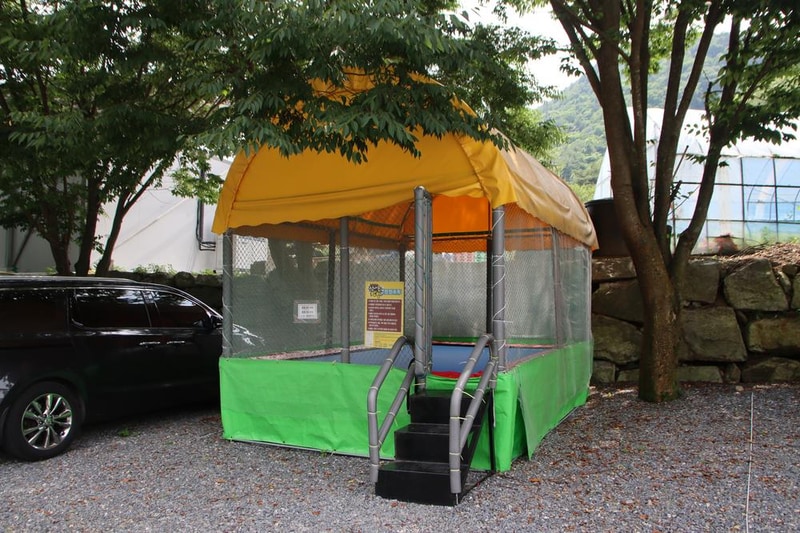 법흥계곡캠핑오늘 시설 사진 8