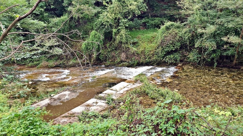 계룡산글램핑 동월숲 시설 사진 14