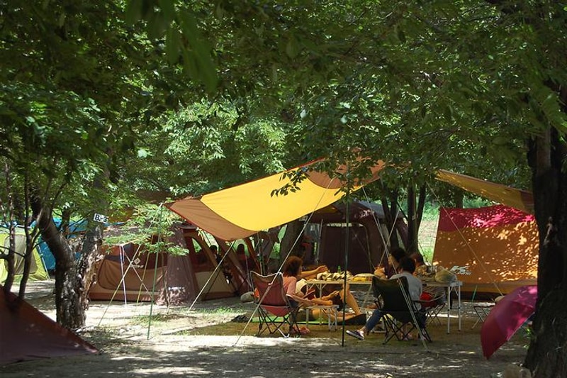 돌배야영장(제2야영장)