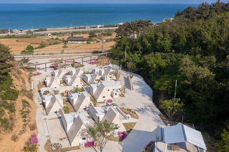 달토 풀 글램핑 대표 사진