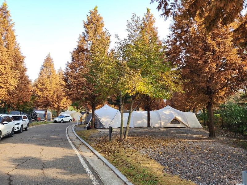 김포캠핑파크 주식회사 시설 사진 30