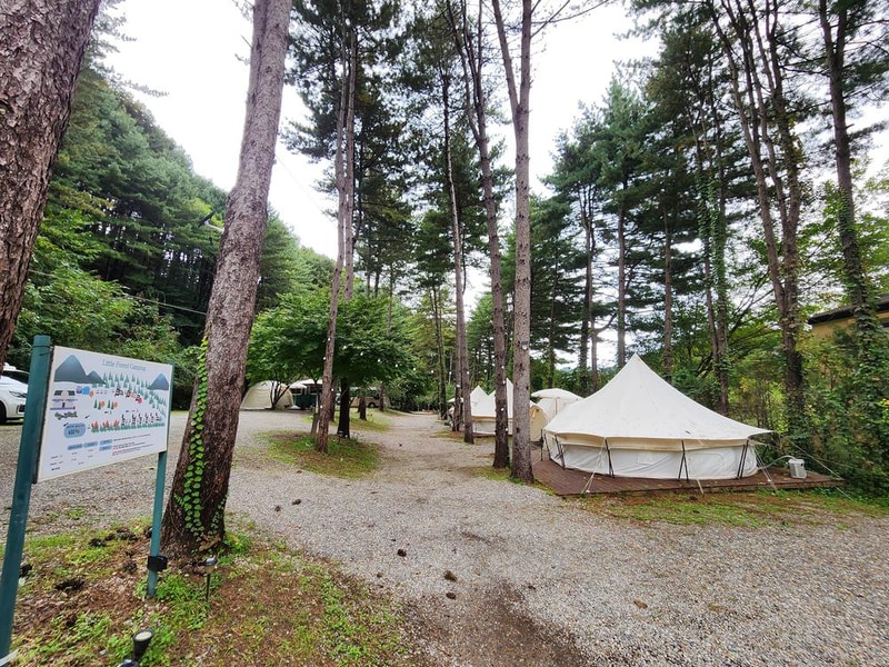 리틀 포레스트 캠핑 시설 사진 15