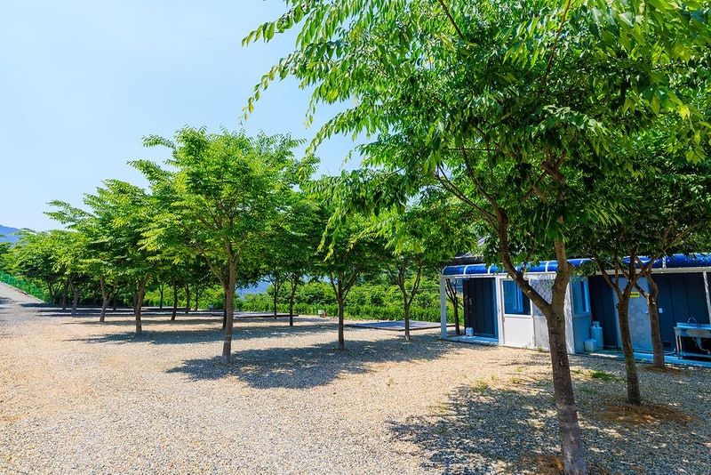 밀양 가보자 캠핑장 시설 사진 5