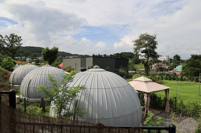 우프캠프 대표 사진