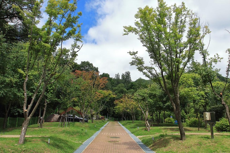 팔공산국립공원 도학 야영장 시설 사진 9