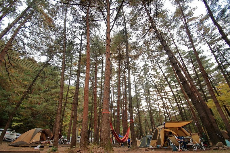 무릉계곡 힐링캠핑장 시설 사진 5