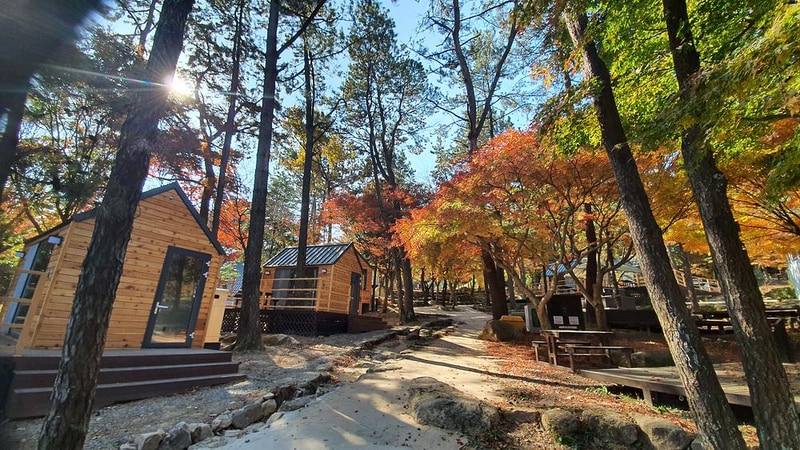 월출산국립공원 천황야영장 시설 사진 1