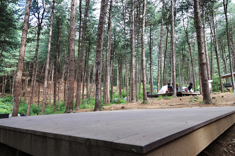 호명산잣나무숲속캠핑장 시설 사진 11