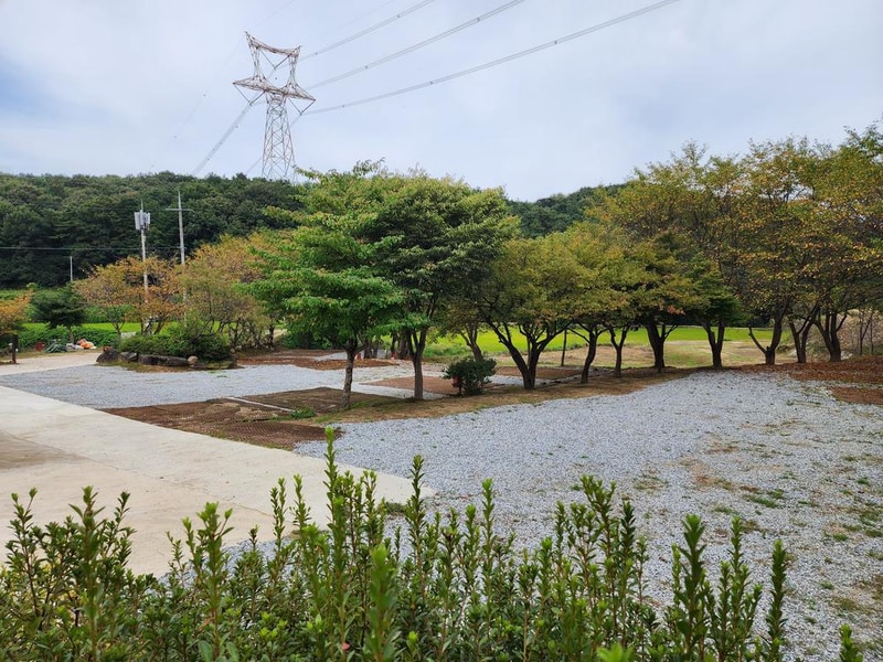 용인반딧불캠핑장 시설 사진 15