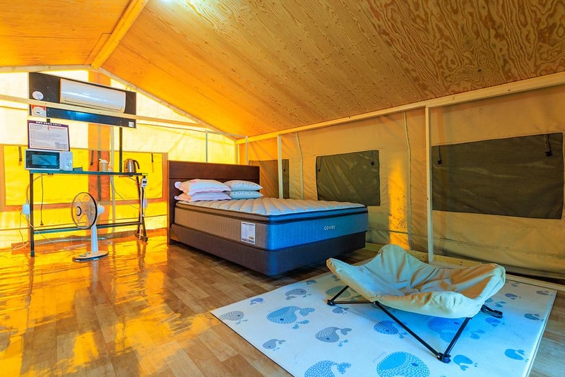 젠틀펫 파라다이스 시설 사진 20