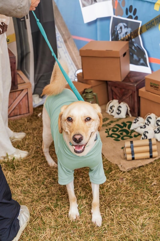 강천섬캠핑장 시설 사진 31