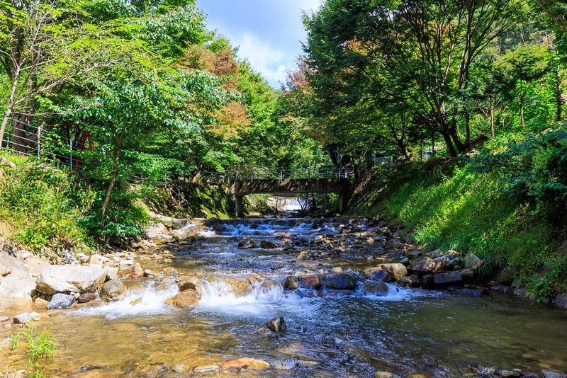 옥당걸숲속관광농원 시설 사진 5