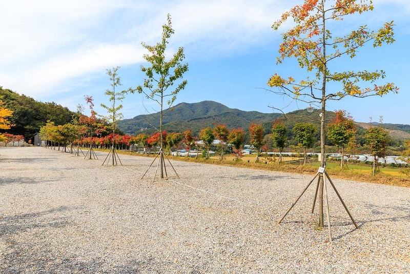 진천포레스트캠핑장 시설 사진 14