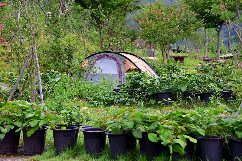 워렉스 캠핑랜드 시설 사진 24