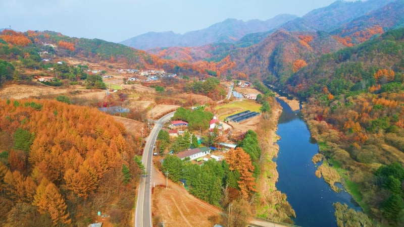 어게인 스쿨 시설 사진 27