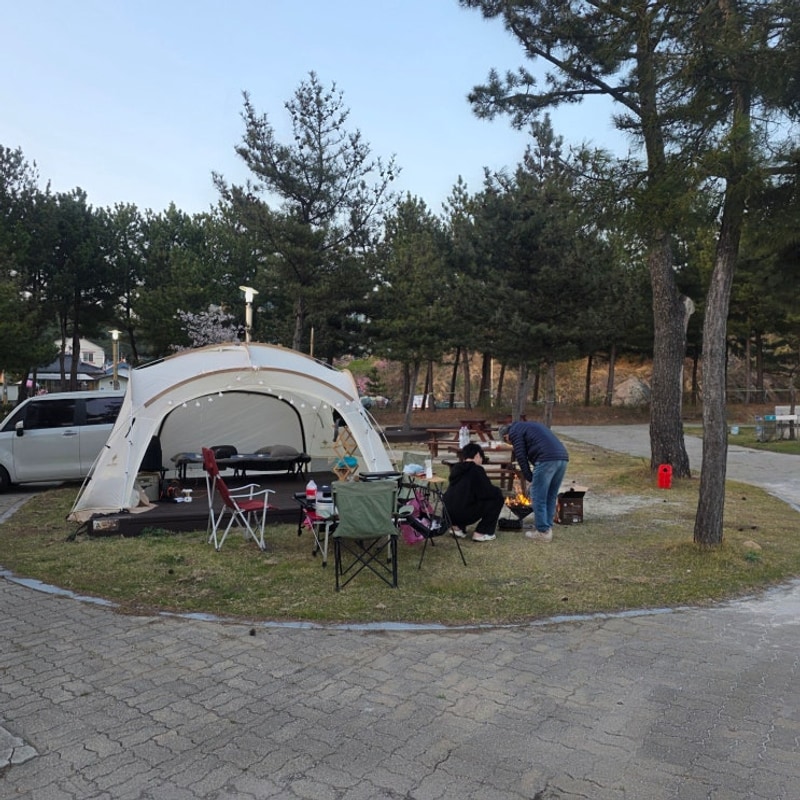 백도오토캠핑장 고성 해수욕장 오션뷰 명당 화로대 매점 샤워