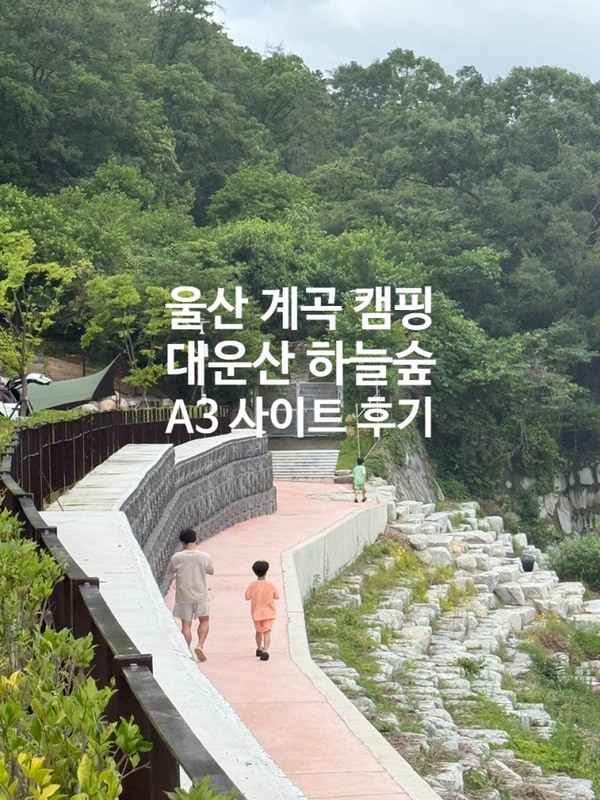 대운산 하늘숲 야영장