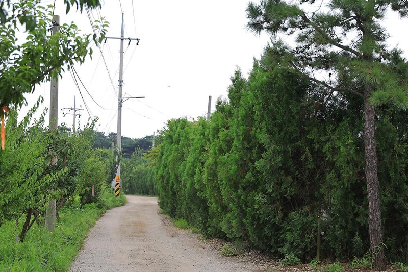 푸른섬 캠핑장 시설 사진 11