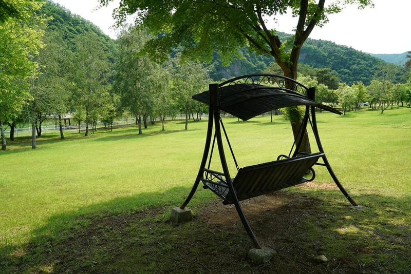 정선군생태체험학습장야영장 펫 동반 캠핑장 시설 사진 14