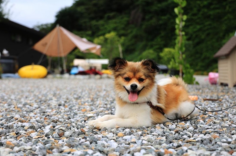 또보리 캠프 시설 사진 14