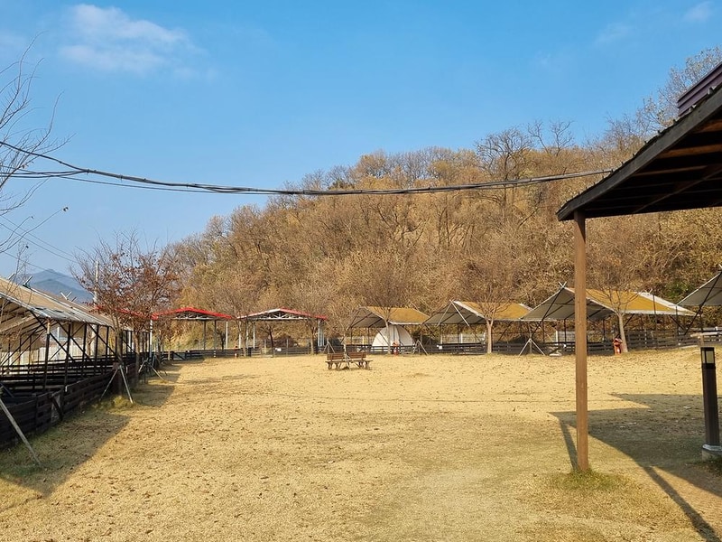 루파니애견캠핑장 시설 사진 24