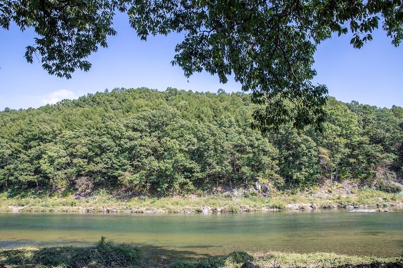 숲속의하모니 시설 사진 16