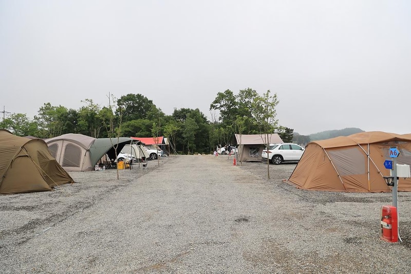 태안머드오토캠핑 시설 사진 6