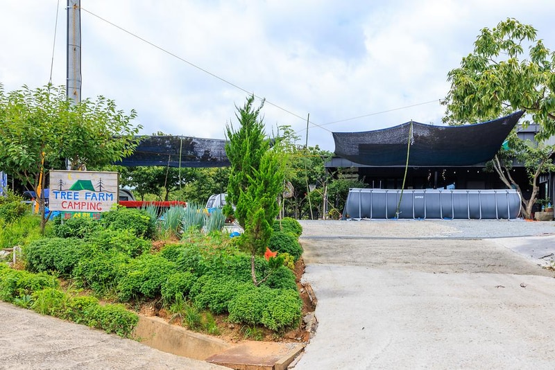 트리팜 관광농원 시설 사진 1