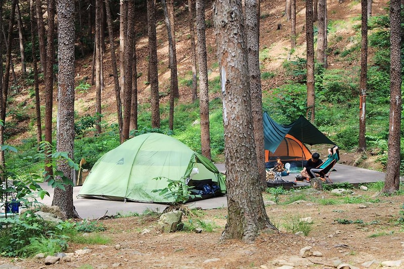 호명산잣나무숲속캠핑장 시설 사진 17