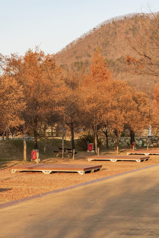 자라섬 캠핑장 시설 사진 20