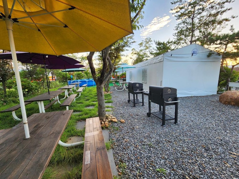 다온숲 노을 캠핑정원 시설 사진 22