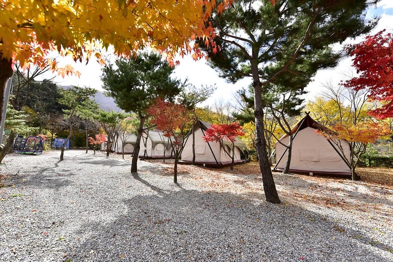 리즈밸리 시설 사진 9