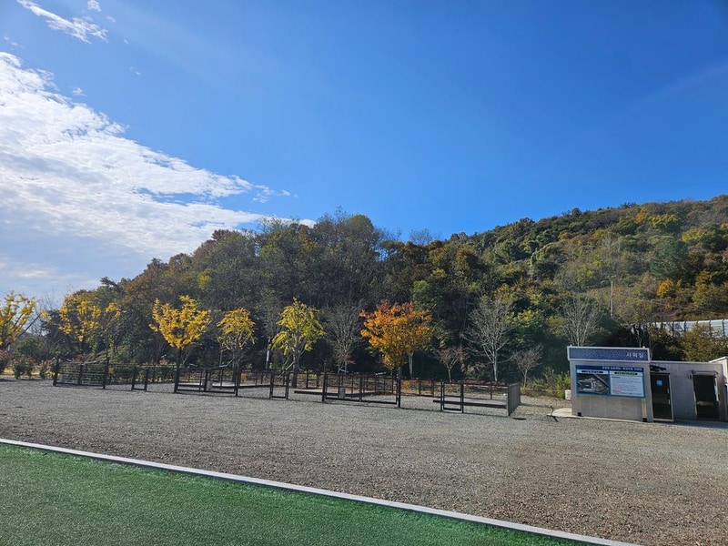 춘풍원 농촌체험 휴양마을 야영장 시설 사진 18