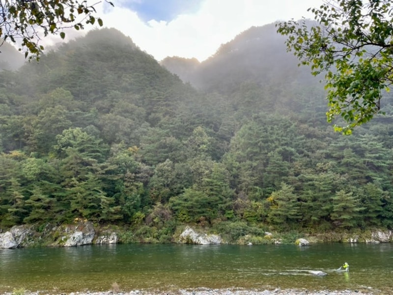 인제나들목캠핑장 대표 사진