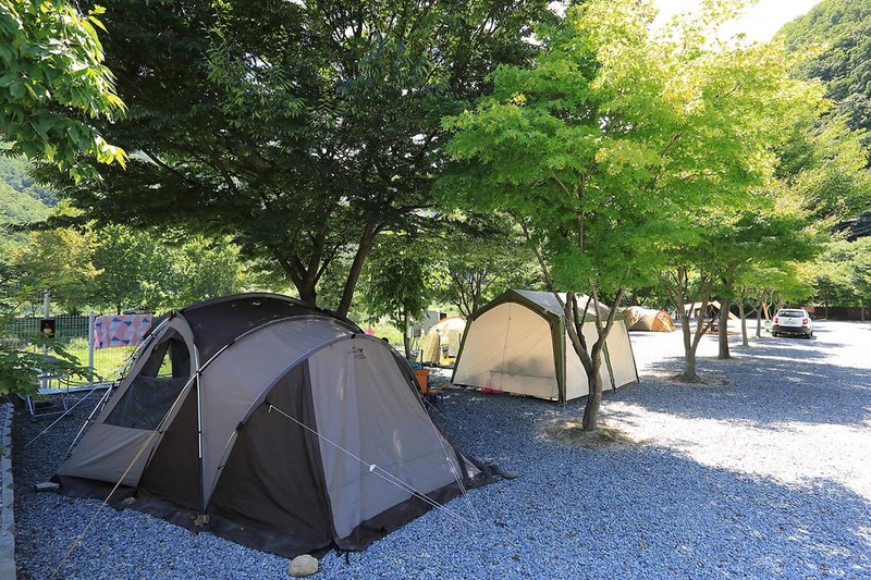 월악 한울 오토캠핑장 시설 사진 20