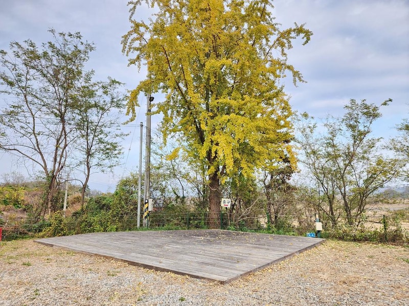 어도숲 캠핑장 시설 사진 16