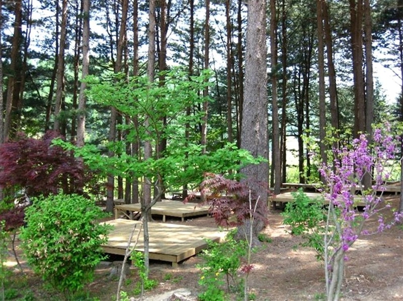 푸른숲캠핑장 시설 사진 5