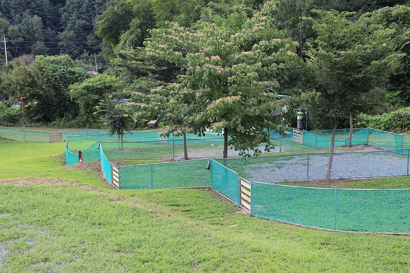 개똥이네캠핑장 시설 사진 7