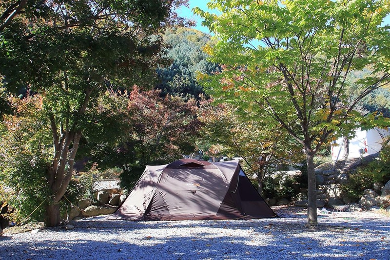 비로야영장 시설 사진 7