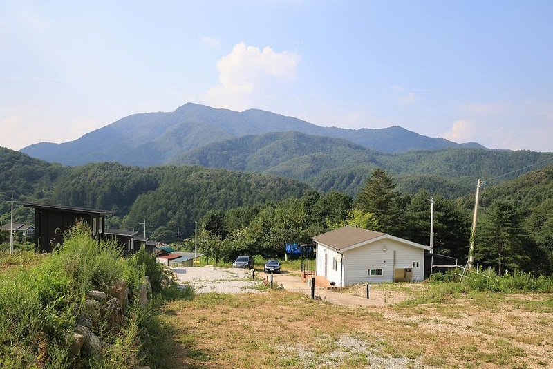 모짜르트 시설 사진 5